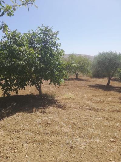 Image No.6-3 Bed Villa for sale