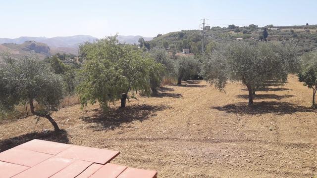 Image No.11-3 Bed Villa for sale