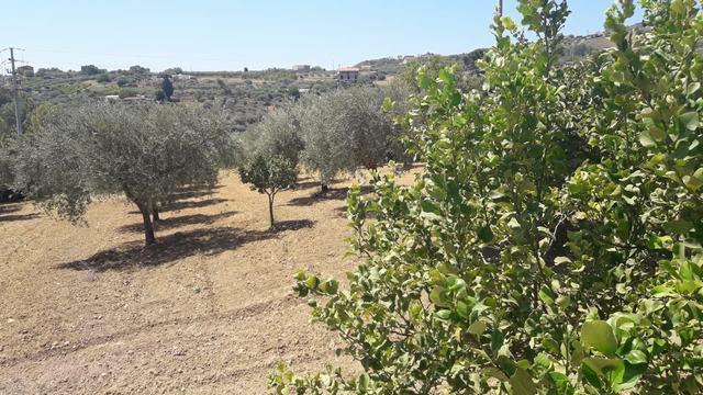 Image No.12-3 Bed Villa for sale