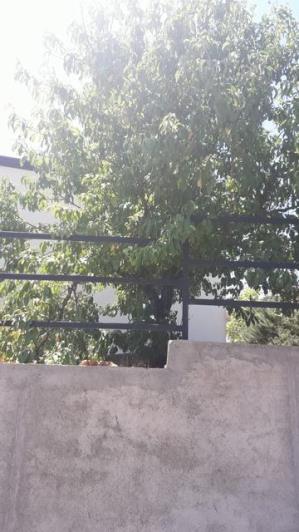 Image No.24-3 Bed Villa for sale