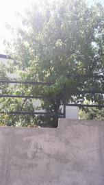 IMG-20230816-WA0030