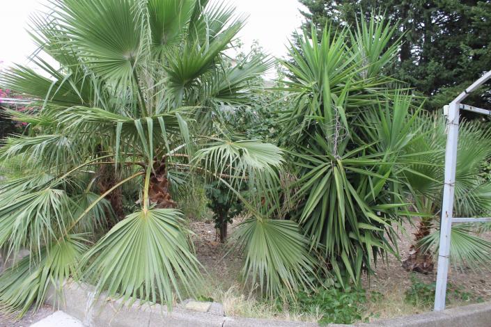 Image No.11-4 Bed Villa for sale