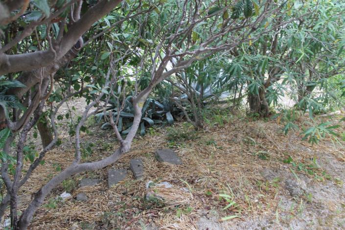 Image No.15-4 Bed Villa for sale