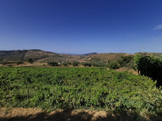 Image No.8-Villa de 2 chambres à vendre à Cianciana