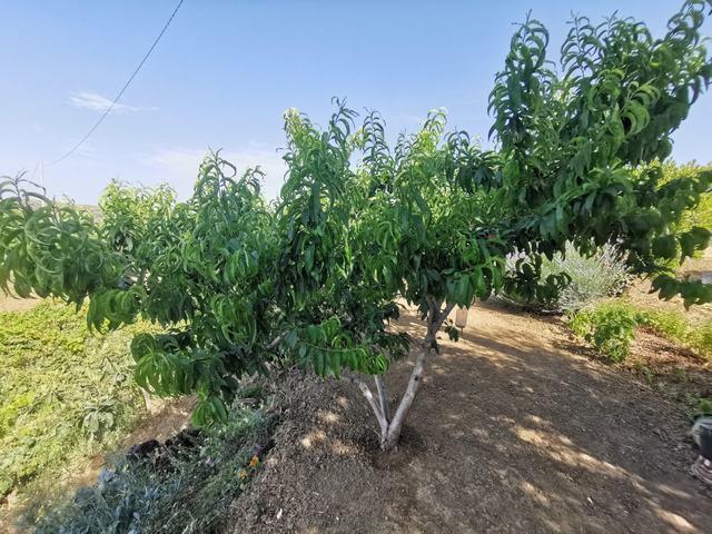 Image No.11-Villa de 2 chambres à vendre à Cianciana