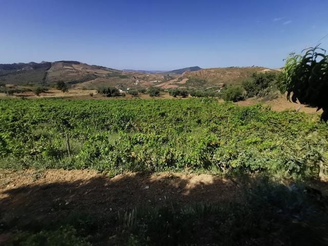 Image No.32-Villa de 2 chambres à vendre à Cianciana