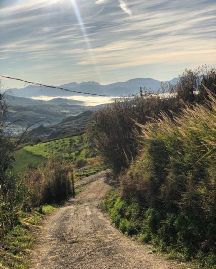 Image No.3-Maison / Villa de 1 chambre à vendre à Cianciana
