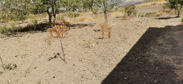 Image No.6-2 Bed Villa for sale