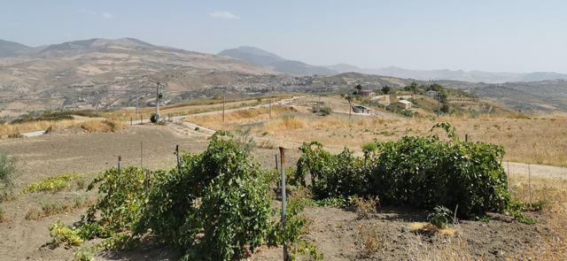 Image No.10-2 Bed Villa for sale