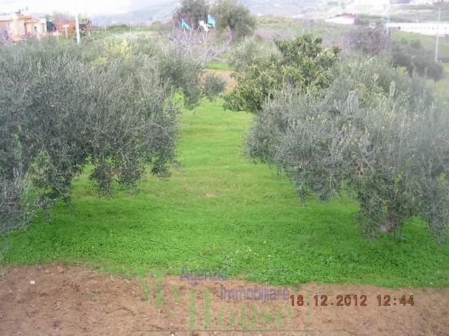 Image No.10-1 Bed Country House for sale