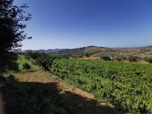 Image No.9-2 Bed Villa for sale