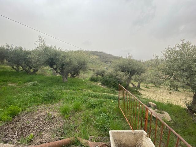 Image No.10-1 Bed Country House for sale