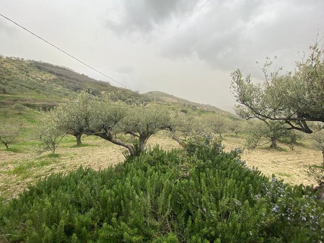 Image No.12-1 Bed Country House for sale