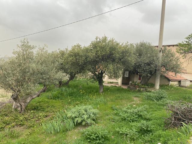 Image No.23-1 Bed Country House for sale