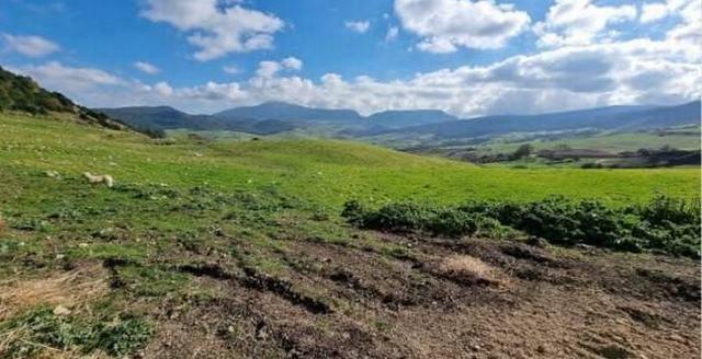 Image No.20-Maison / Villa de 3 chambres à vendre à Castronuovo di Sicilia