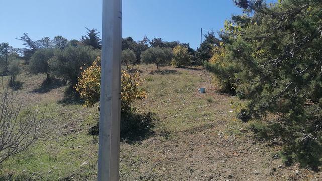 Image No.7-Villa de 1 chambre à vendre à Cianciana