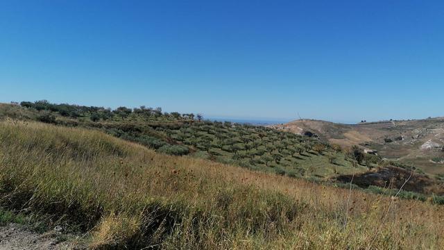 Image No.14-Villa de 1 chambre à vendre à Cianciana