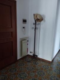 IMG-20250329-WA0006