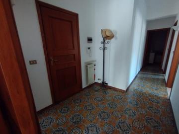 IMG-20250329-WA0007