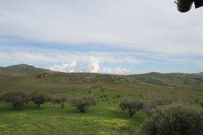 IMG_8641
