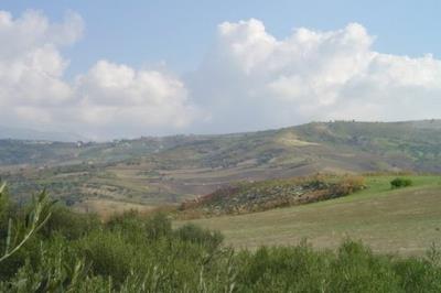 DSC01414