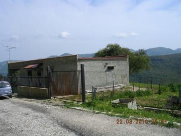 DSCN4284