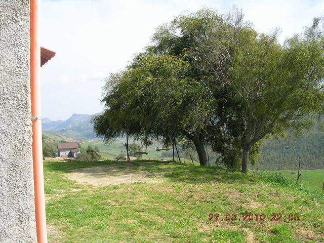 Image No.17-Villa de 2 chambres à vendre à Cianciana