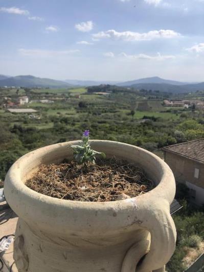 Image No.22-2 Bed Townhouse for sale