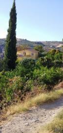 Properties In Sicily most sold property