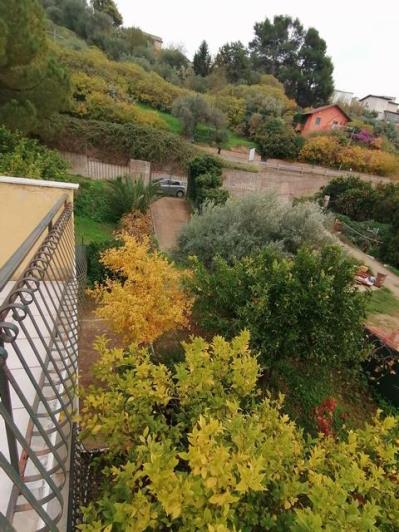 Image No.5-3 Bed Villa for sale