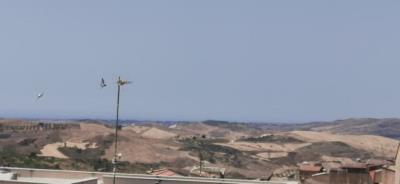 Properties In Sicily most sold property