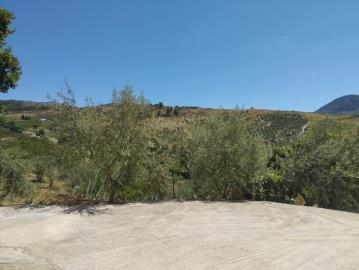 IMG-20250801-WA0019