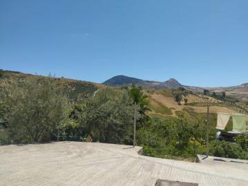 IMG-20250801-WA0042