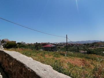 IMG_20250519_130844