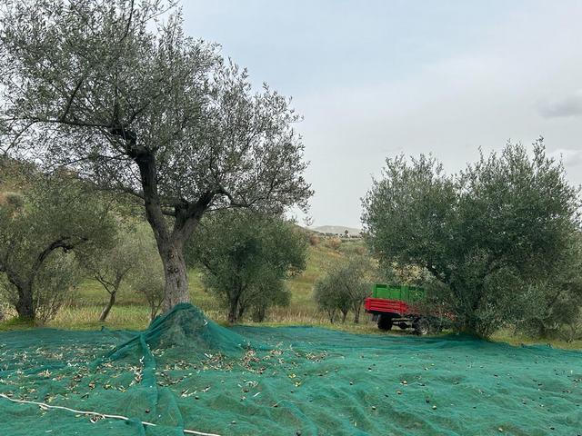 Image No.3-2 Bed House/Villa for sale