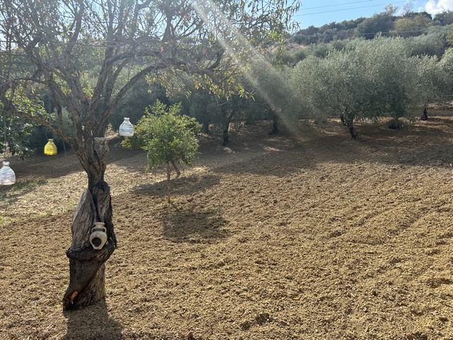 Image No.7-2 Bed House/Villa for sale