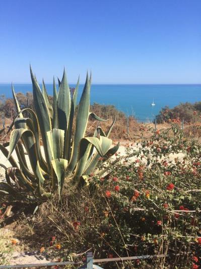 Image No.22-3 Bed Townhouse for sale