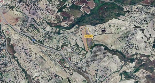 Image No.5-Terre à vendre à Alessandria della Rocca