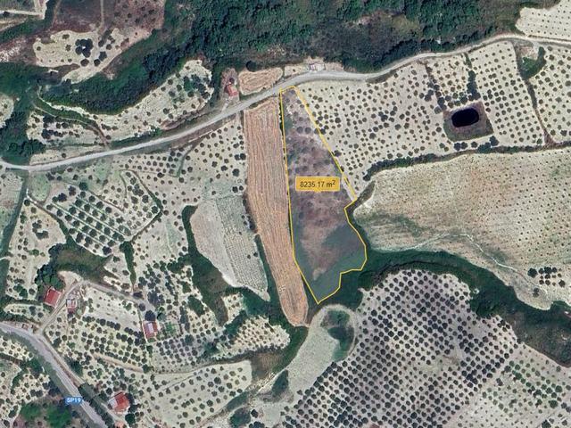 Image No.6-Terre à vendre à Alessandria della Rocca