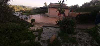 IMG_20260304_170522_resized_20260304_110844646