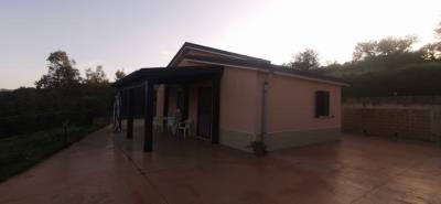 IMG_20260304_170544_resized_20260304_110818873