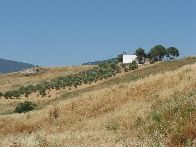 Image No.24-3 Bed Villa for sale
