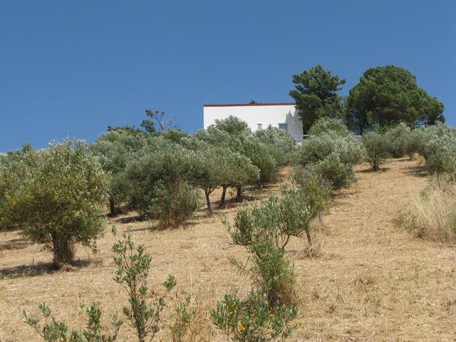 Image No.25-3 Bed Villa for sale