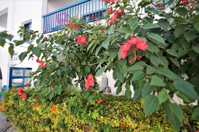 Apartment Sold  in  Kato Paphos - Universal