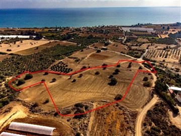 Field in Agios Theodoros, Larnaca
