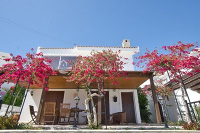 Detached Villa For Sale  in  Pissouri