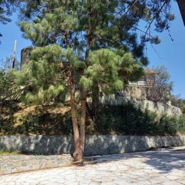 Detached Villa For Sale  in  Select Location