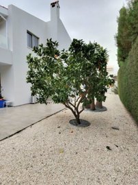 Detached Villa For Sale  in  Pegia - Coral Bay