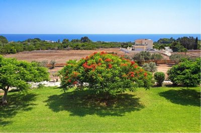 Detached Villa For Sale  in  Ayia Napa