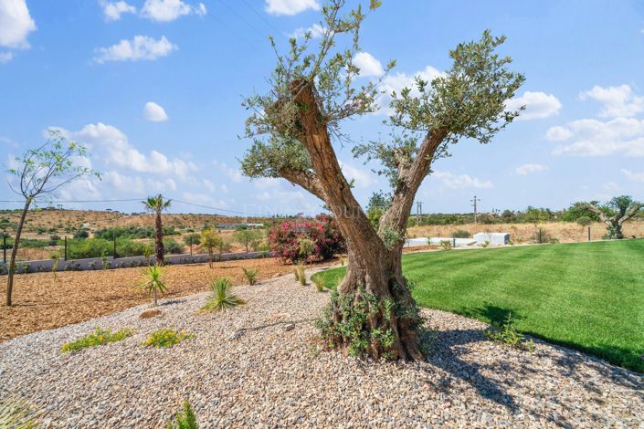 Image No.37-Propriété de 6 chambres à vendre à Fonte Santa 